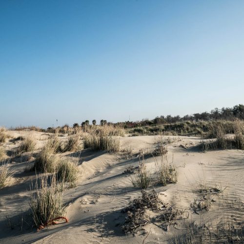 Le dune di Campomarino