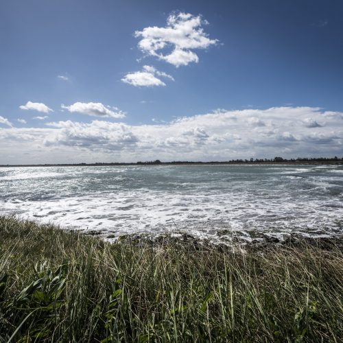 Torre Guaceto, vista del mare