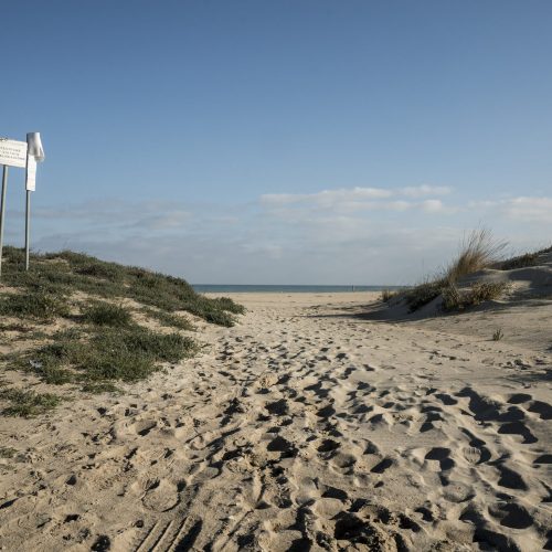 Zona di ingresso alla spiaggia di Campomarino