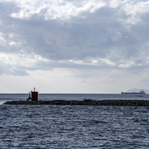 Strutture che proteggono le aree protette dall'avanzamento del mare