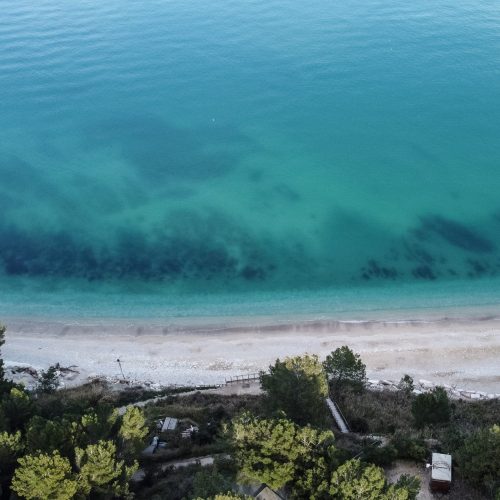 Forest along San Michele beach