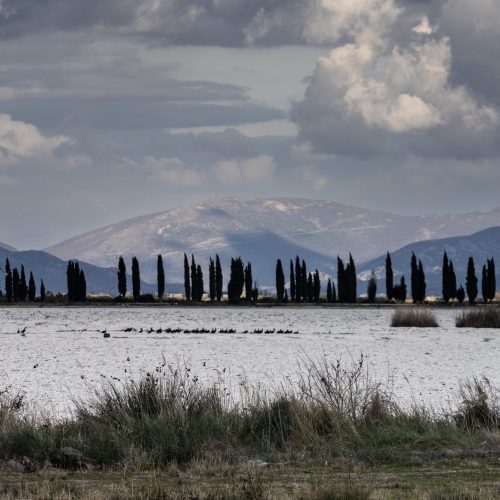 Vista sull'entroterra lagunare